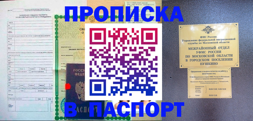 временная регистрация госуслуги в Камышине